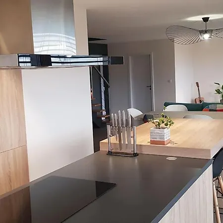 Maison Passive Avec Piscine Proche Colmar Logelheim